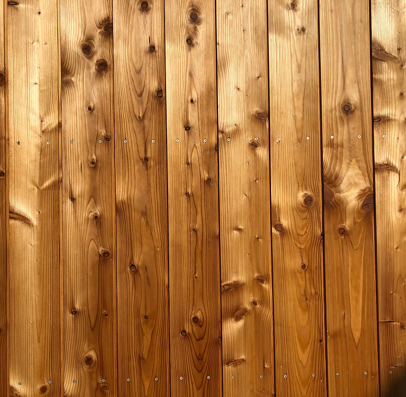 内装 | SEGAMI SAW MILL